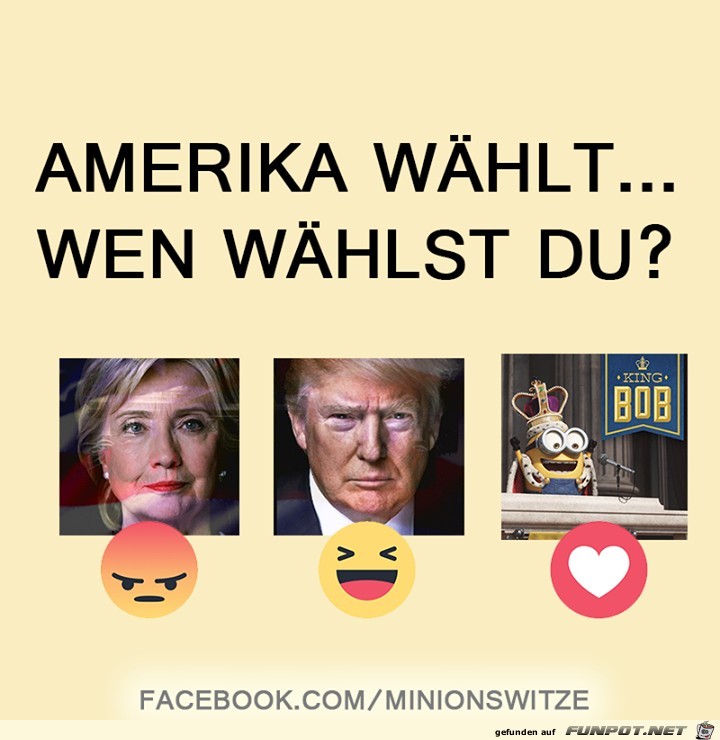 Amerika wählt Amerika wählt