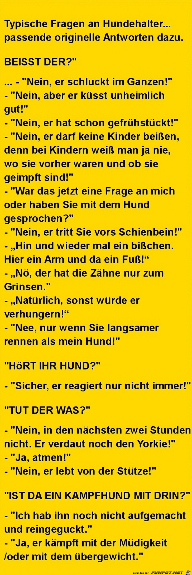 Hund