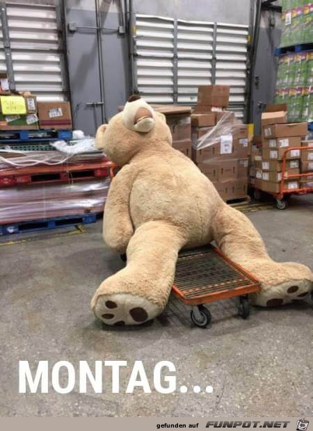 Montag Montag