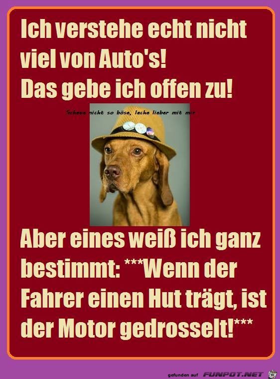 Verstehe nicht viel von Autos Verstehe nicht viel von Autos