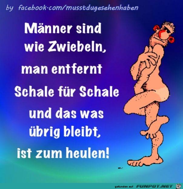 Maenner sind wie Zwiebel Maenner sind wie Zwiebel