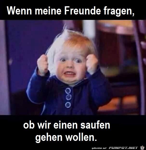 Wenn meine Freunde fragen Wenn meine Freunde fragen