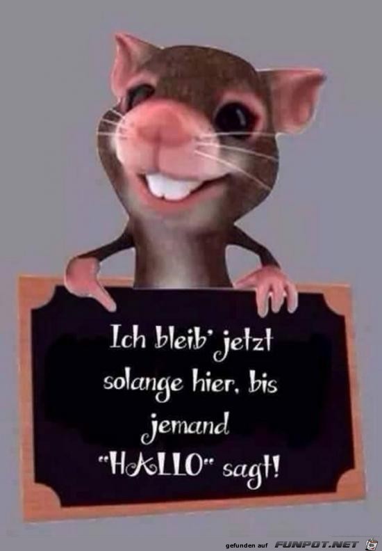 ich bleib jetzt ........ ich bleib jetzt ........