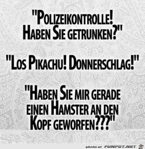 Polizeikontrolle Polizeikontrolle