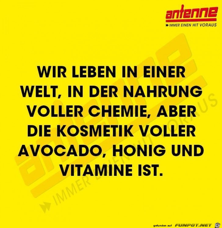 Wir leben in einer Welt Wir leben in einer Welt
