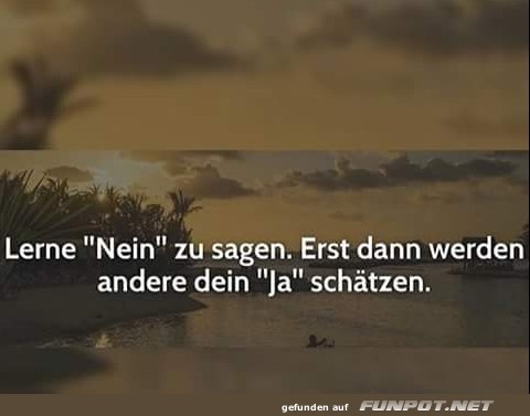 10 schöne Sprüche und Lebensweisheiten aus... 10 schöne Sprüche und Lebensweisheiten aus...