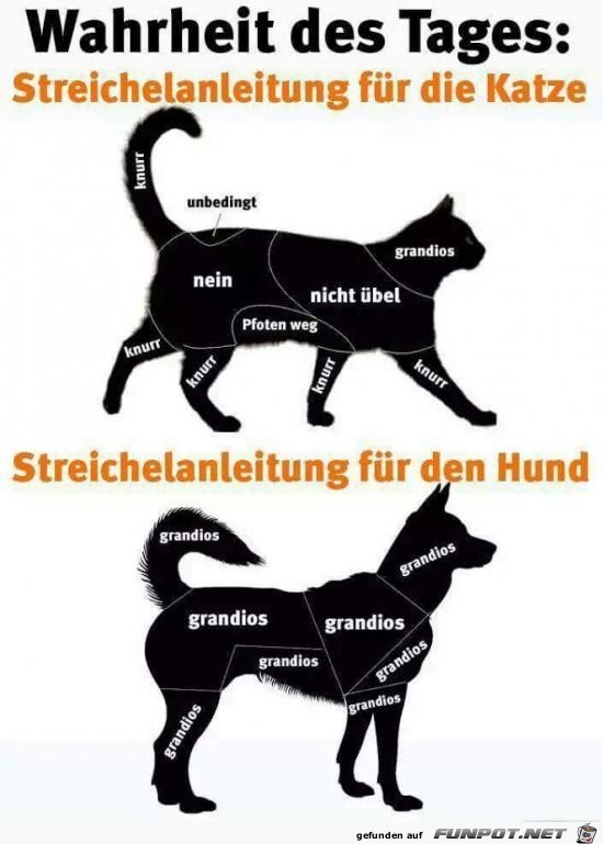 Anleitungen Anleitungen