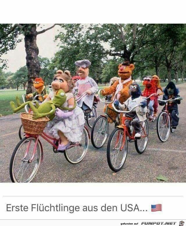 Muppets Muppets