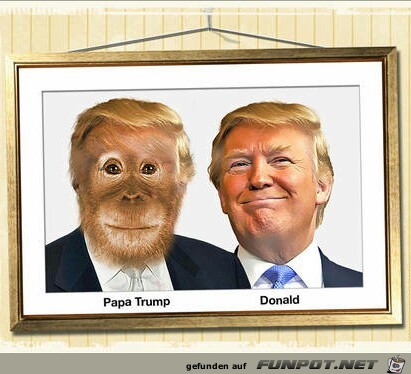 Trump Trump
