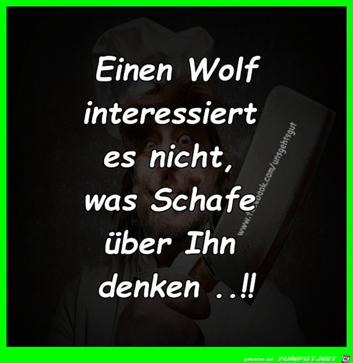 Einen Wolf