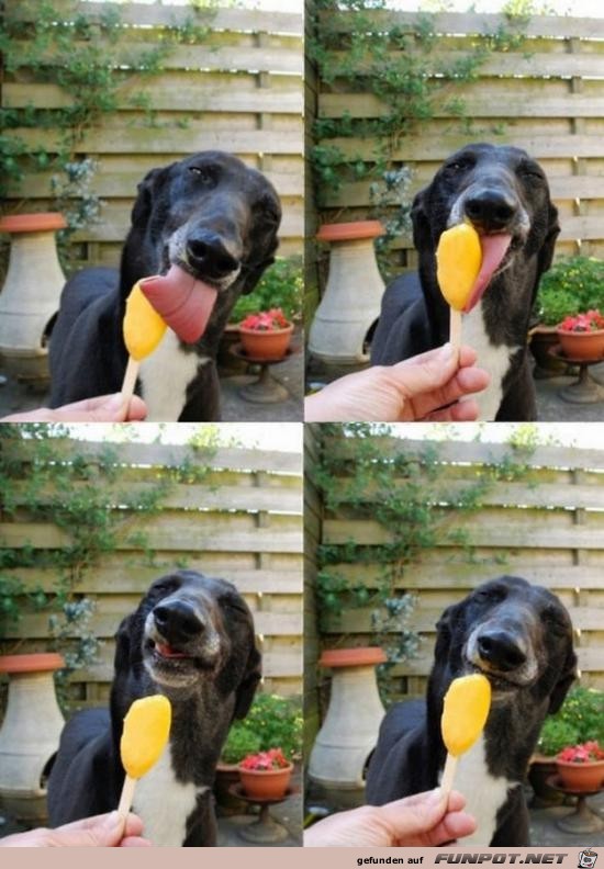 lecker..... lecker.....