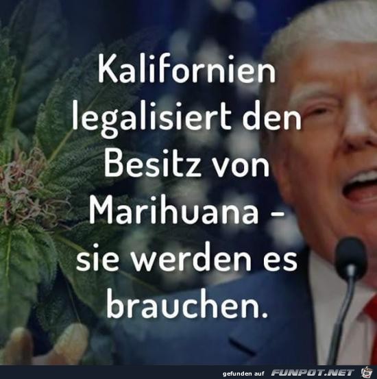 Kalifornien legalisiert......