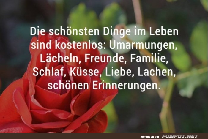10 sch�ne Spr�che und Lebensweisheiten aus...