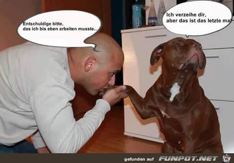Sorry Sorry