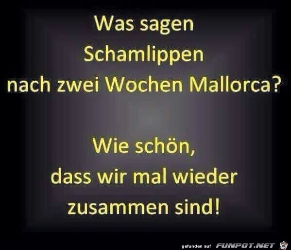 Nach dem Urlaub Nach dem Urlaub