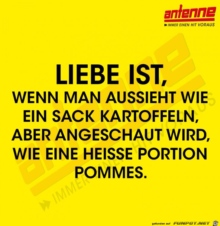 Liebe ist Liebe ist