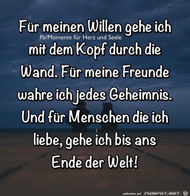 Fuer meinen Willen