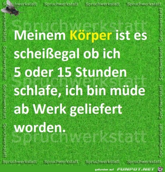 Mein Koerper