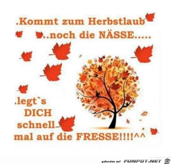 kommt zum Herbstlaub auch noch die Nsse.....