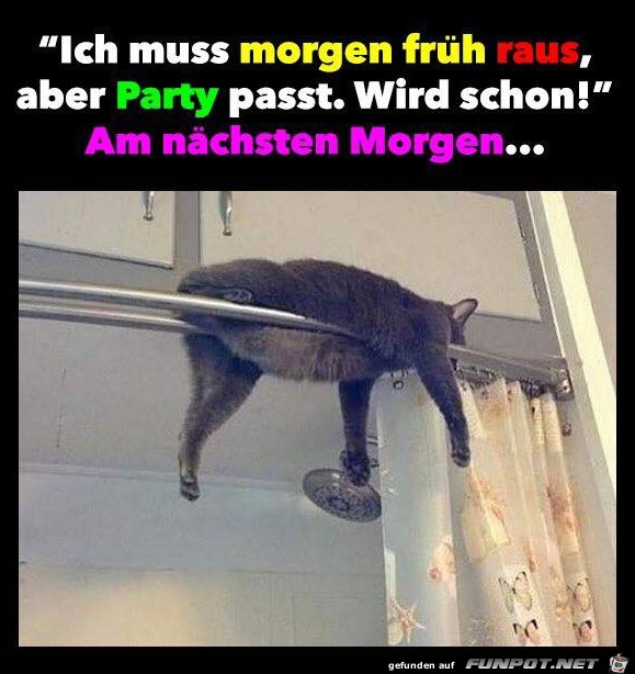 Ich häng voll durch Ich häng voll durch