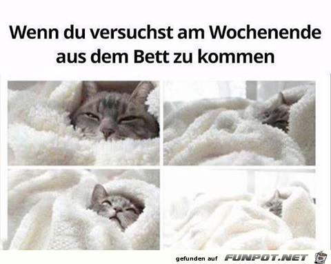 Aufstehen fällt schwer Aufstehen fällt schwer