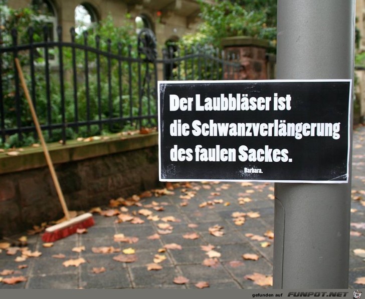 Laubblaeser Laubblaeser