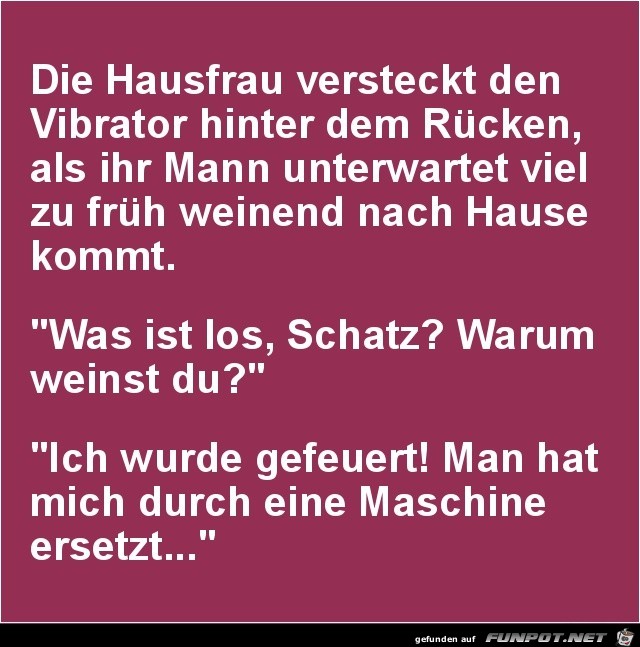 die Hausfrau versteckt den Vibrator..... die Hausfrau versteckt den Vibrator.....