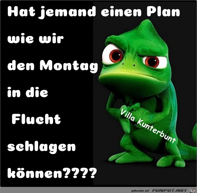 Hat jemand einen Plan Hat jemand einen Plan