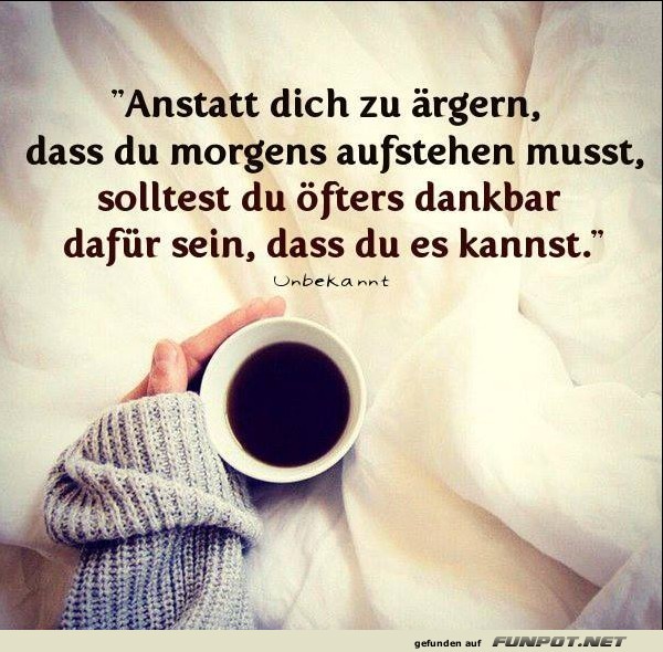 10 schöne Sprüche und Lebensweisheiten aus... 10 schöne Sprüche und Lebensweisheiten aus...