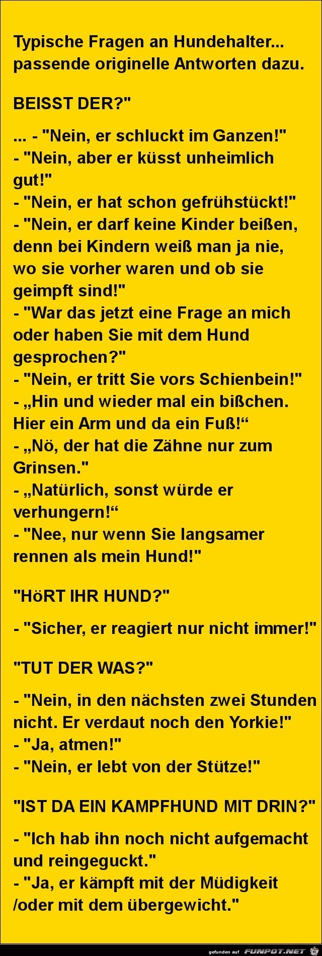 Typische Fragen an Hundehalter..... Typische Fragen an Hundehalter.....