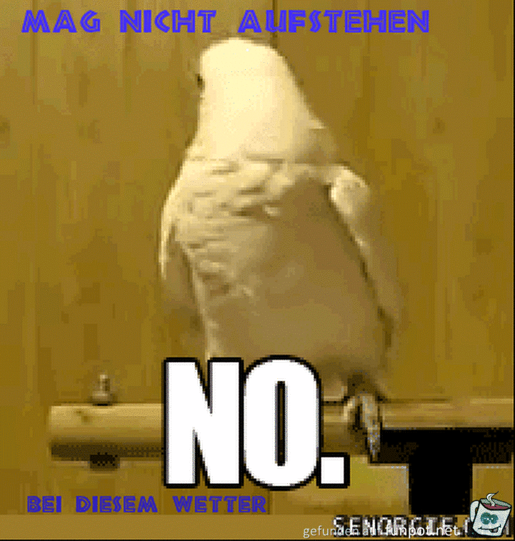 mag nicht aufstehen mag nicht aufstehen