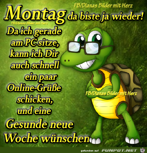 Montag da biste ja wieder Montag da biste ja wieder