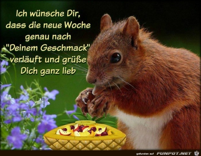 Neue Woche