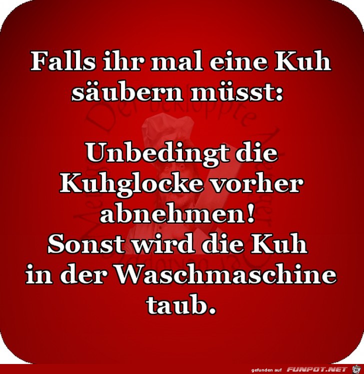Kuh reinigen Kuh reinigen