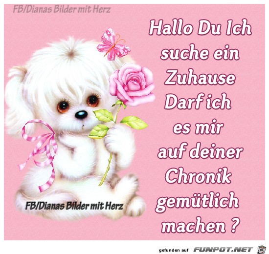 Hallo Du Hallo Du