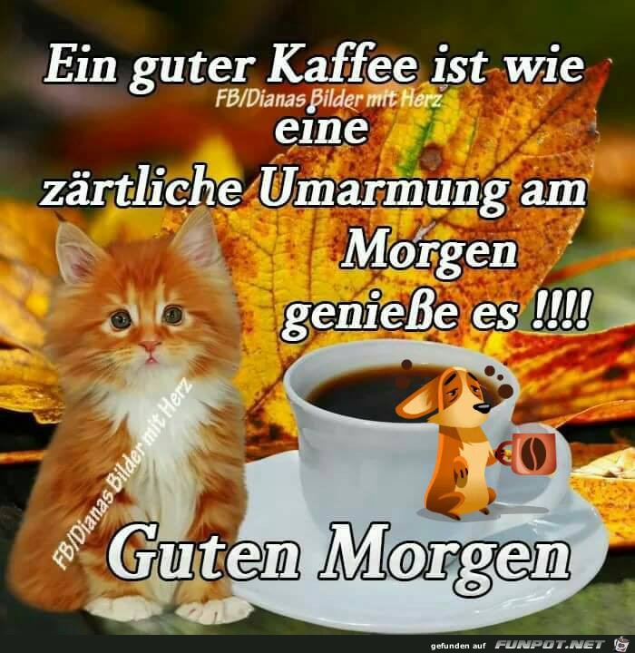 Ein guter Kaffee