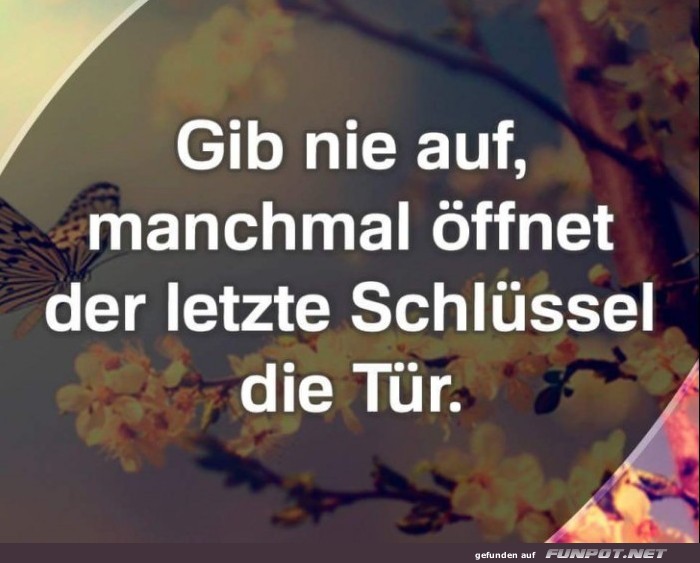 10 sch�ne Spr�che und Lebensweisheiten aus...