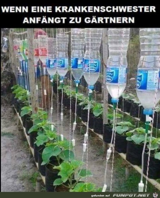 Gärtnerei Gärtnerei