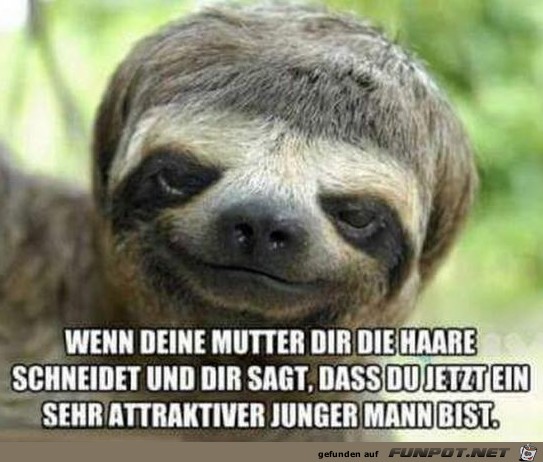 Neuer Schnitt Neuer Schnitt