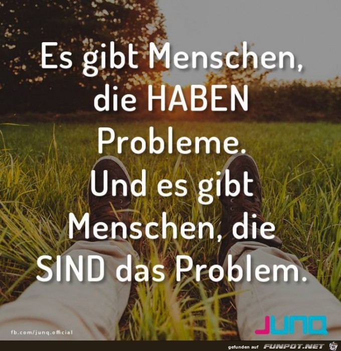 Probleme Probleme