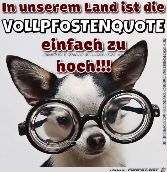 Vollpfostenquote Vollpfostenquote