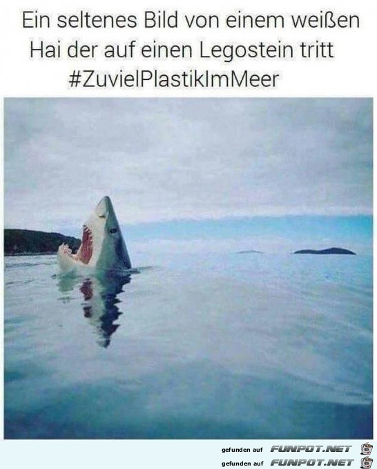 Zuviel Plastik im Meer Zuviel Plastik im Meer