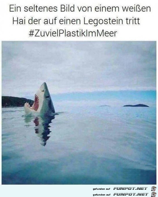 Zuviel Plastik im Meer