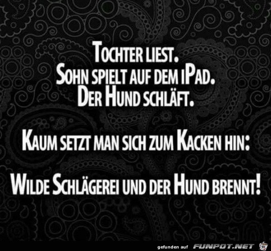 Schlaegerei Schlaegerei