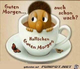 Guten Morgen