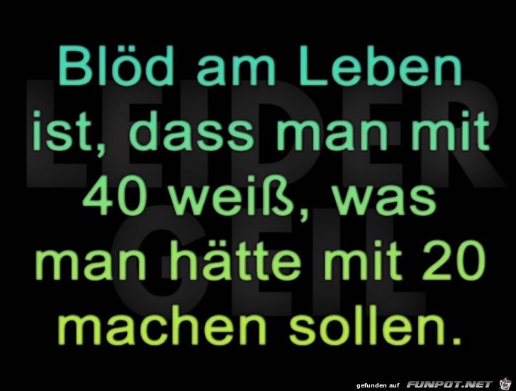 Bloed am Leben