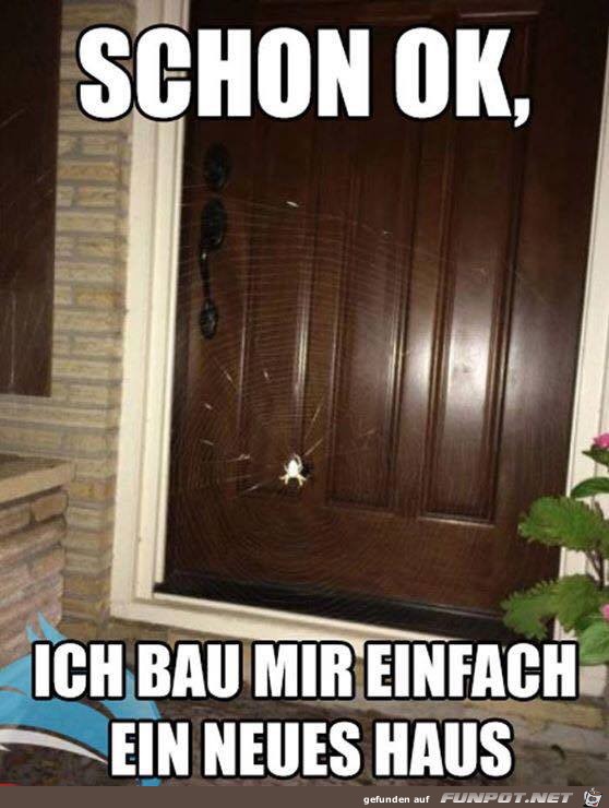 Ich bau mir einfach ein neues Haus