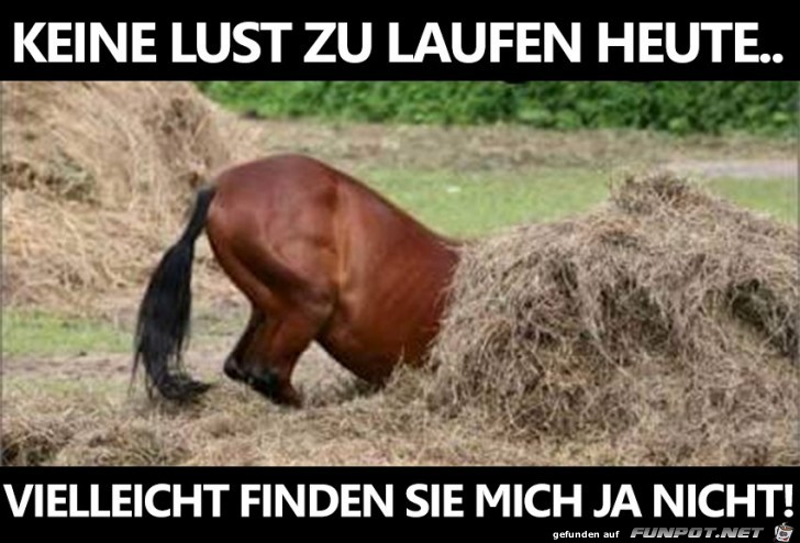Keine Lust zu laufen Keine Lust zu laufen