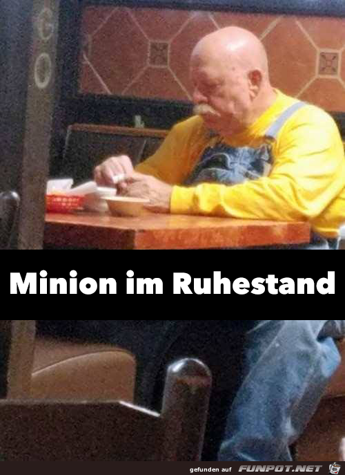 Minion im Ruhestand