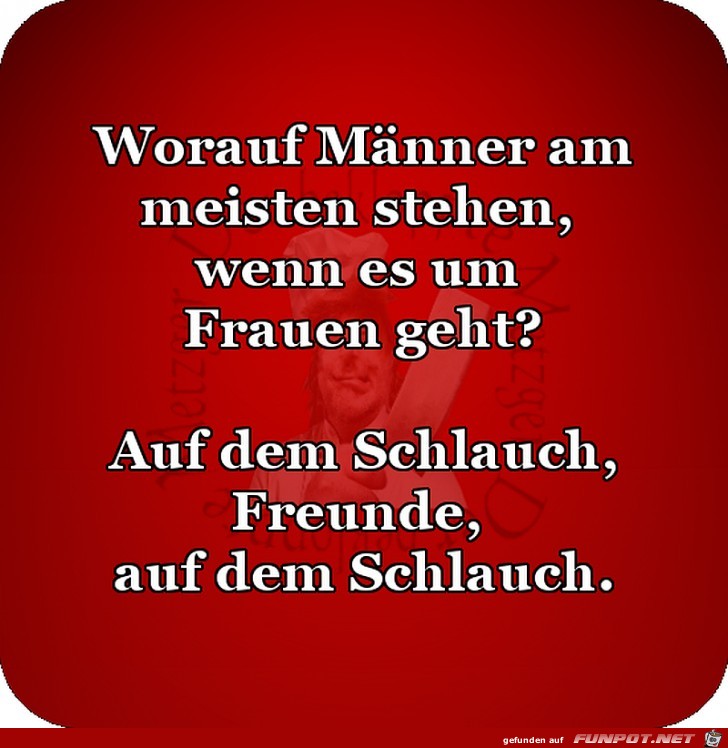 Worauf stehen Maenner Worauf stehen Maenner